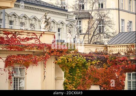 Vieux bâtiments couverts de feuilles de couleur super-réducteur à Vienne en Autriche Banque D'Images