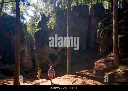 Jicin (Jitschin): Prachov Rocks (Prachovske skaly, Prachauer Felsen) dans le Paradis de Bohême, Cesky raj, Böhmisches Parades, Kralovehradecky, Hradec Kra Banque D'Images