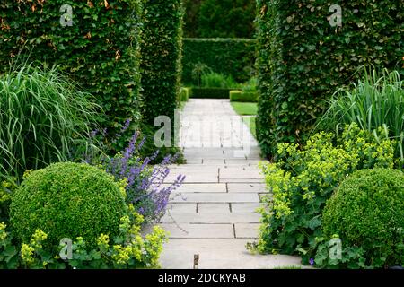 boules buxus,boules de boîte,miscanthus,haie de hêtre,chemin,jardin,jardins,couverture,RM Floral Banque D'Images