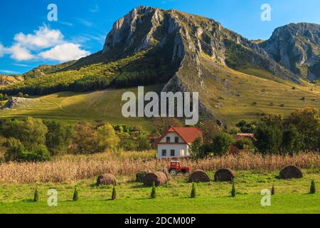 Magnifique terre agricole avec balles de foin et vieux tracteur. Vue magnifique sur les montagnes de Trascau depuis le village de Rimetea, Transylvanie, Roumanie, Europe Banque D'Images