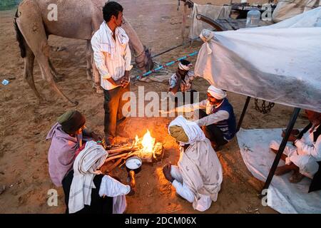 les caméléers indiens font du thé tôt le matin dans les dunes de sable du désert de thar avec une attention sélective sur le sujet et du bruit et des grains ajoutés. Banque D'Images