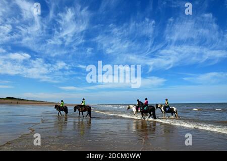 Chevaux et leurs cavaliers sur la plage et dans la mer à Chapel St Leonards, Skegness, Lincolnshire, Royaume-Uni Banque D'Images