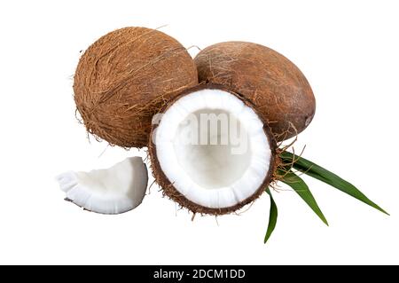 Noix de coco sur fond blanc, isolée. Noix de coco entière, moitiés, coquilles, morceaux de noix de coco sur une feuille de palmier verte. Fruits tropicaux. Banque D'Images