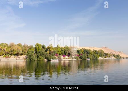 Vue sur le Nil jusqu'aux jardins botaniques d'Assouan, île de Kitchener, Assouan, Égypte Banque D'Images