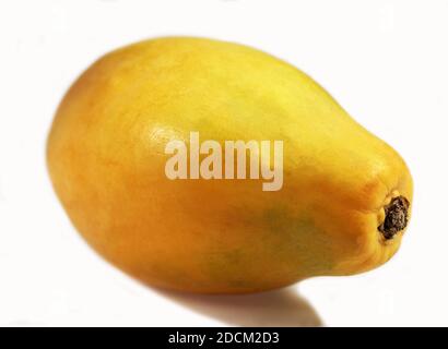 PAW PAW OU PAPAYE Carica papaya AGAINST WHITE BACKGROUND Banque D'Images