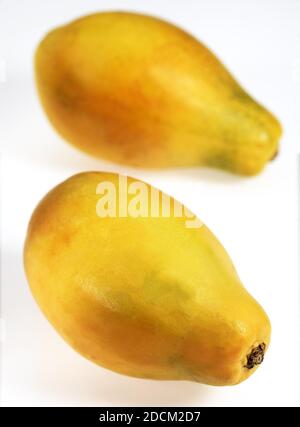 PAW PAW OU PAPAYE Carica papaya AGAINST WHITE BACKGROUND Banque D'Images