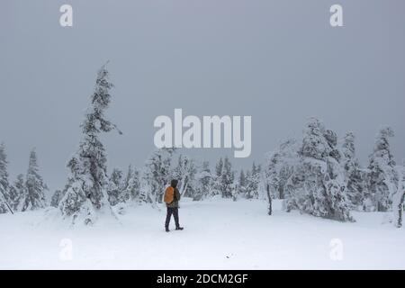 Promenade solo en routard dans la neige gelée campagne.paysage panoramique d'hiver avec forêt, arbres couverts de neige, brouillard.pittoresque et magnifique Banque D'Images