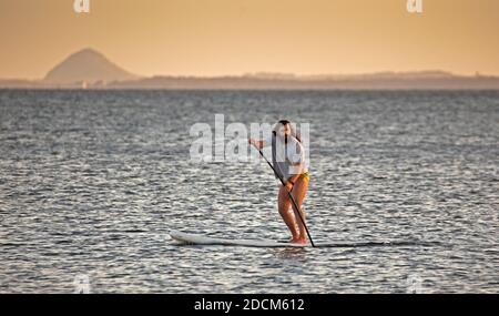 Portobello, Édimbourg, Écosse, Royaume-Uni. 22 novembre 2020. Une température de 5 degrés juste après le lever du soleil au bord de la mer, sans empêcher les amateurs de sports nautiques de se rafraîchir pour stimuler leur énergie thermique et leur bien-être dans le Firth of Forth. Photo :Homme sur le panneau de selle debout avec loi Berwick en arrière-plan. Crédit : Arch White/Alamy Live News. Banque D'Images