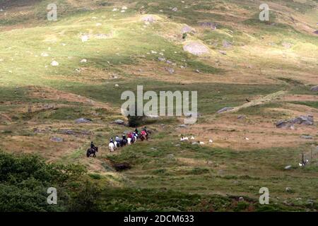 Île d'Arran, Ayrshire, Écosse, Royaume-Uni, Pony Trekkers dans le paysage Banque D'Images