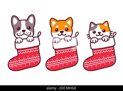 Joli chaton de dessin animé et chiots (bulldog français et Shiba Inu) dans des bas de Noël. Illustration d'animaux adorables pour carte de vœux Joyeux Noël de Illustration de Vecteur