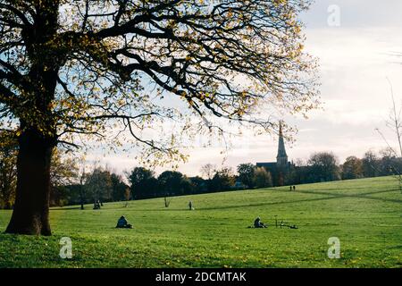 Londres : 22 novembre 2020. Un endroit calme dans un Brockwell Park exceptionnellement animé. Les parcs des villes de Londres sont exceptionnellement occupés en raison des restrictions de Covid-19 et de Lockdown, de sorte que les gens se rencontrent à l'extérieur. Banque D'Images