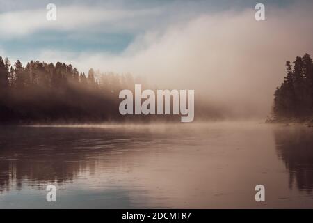 Le matin, le brouillard surprend la rivière Yellowstone le matin de l'été Banque D'Images