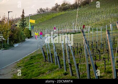 Conference de Weil am Rhein, Allemagne Banque D'Images