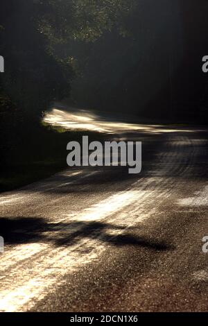 Route de campagne non marquée à travers les bois en Virginie, États-Unis Banque D'Images