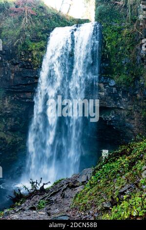 Vue d'hiver sur les chutes d'Henrhyd près de Coelbren, la plus haute cascade du sud du pays de Galles, au Royaume-Uni Banque D'Images