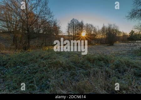 Arbres et chemin avec lever du soleil près du village de Rozmberk nad Vltavou dans le matin ensoleillé gelé Banque D'Images