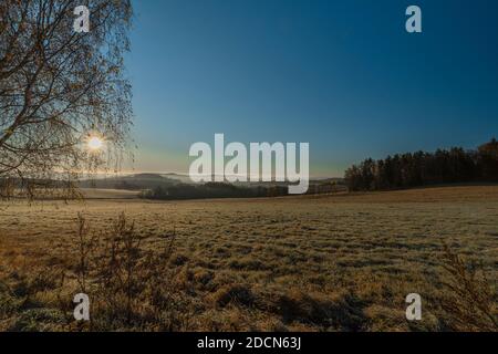 Arbres et chemin avec lever du soleil près du village de Rozmberk nad Vltavou dans le matin ensoleillé gelé Banque D'Images