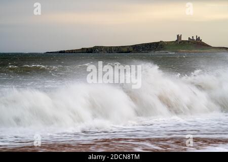 Le château de Dunstanburgh se trouve sur les falaises au-dessus de la baie d'Embleton, au cours d'un après-midi venteux, avec de grandes vagues qui se brisent le long de la rive à l'approche de la marée haute. Banque D'Images