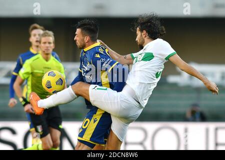 Vérone, Italie. 22 novembre 2020. Samuel Di Carmine (Vérone) et Manuel Locatelli (Sassuolo) pendant Hellas Verona vs Sassuolo Calcio, football italien série A match à Vérone, Italie, novembre 22 2020 crédit: Agence de photo indépendante/Alamy Live News Banque D'Images