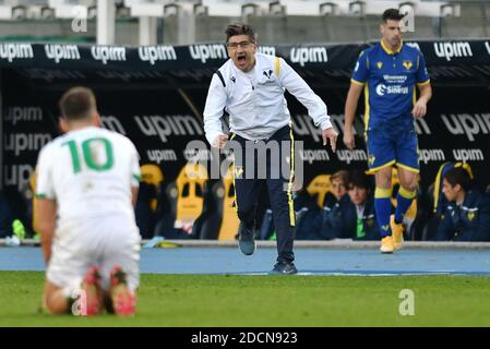 Vérone, Italie. 22 novembre 2020. Ivan Juric entraîneur de Vérone a quelque chose à dire à Filip Djuricic de Sassuolo pendant Hellas Verona vs Sassuolo Calcio, football italien série A match à Vérone, Italie, novembre 22 2020 crédit: Agence de photo indépendante / Alamy Live News Banque D'Images