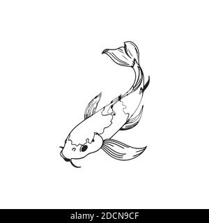 Une belle illustration de poisson carpe koï en monochrome. Symbole de l'amour, de l'amitié et de la prospérité. Carpe tatouage à main levée Illustration de Vecteur