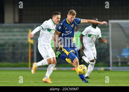 Vérone, Italie. 22 novembre 2020. Verona, Italie, Marcantonio Bentegodi Stadium, 22 nov 2020, Pawel Dawidowicz (Vérone) et Giacomo Raspadori (Sassuolo) pendant Hellas Verona vs Sassuolo Calcio - football italien Serie A Match - Credit: LM/Alessio Tarpini Credit: Alessio Tarpini/PS/ZUMA Wire/Alamy Live News Banque D'Images