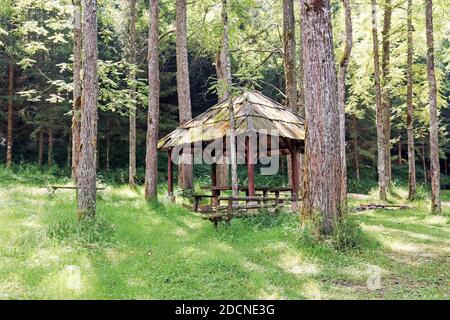 Lieu de repos avec abri sur le toit et table de pique-nique dans la forêt, entre les arbres.belvédère rustique en bois Banque D'Images