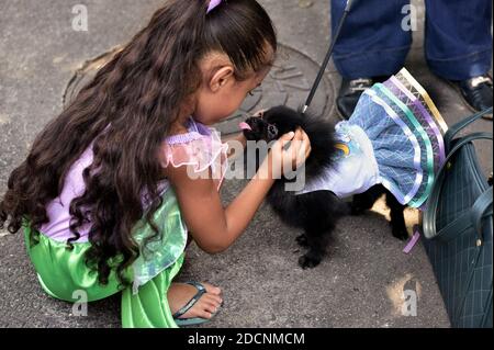 Brésil, Rio de Janeiro, 15 février 2020 : fête pour les animaux de compagnie. Les propriétaires de chiens se rencontrent pour célébrer le Carnaval avec leurs amis à quatre pattes bien-aimés. Banque D'Images