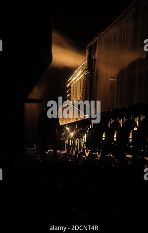 « Bittern » dans la cour de Barrow Hill pendant une charte photo. Banque D'Images