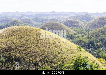 Les collines de chocolat de Bohol aux Philippines Banque D'Images
