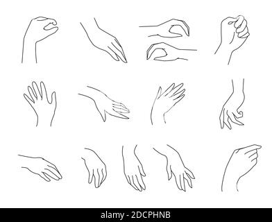 Vecteur de contour simple Illustration des mains paumes dans différentes positions. Illustration vectorielle position de la main sur une ligne. Jeu de position de la main. Illustration de Vecteur