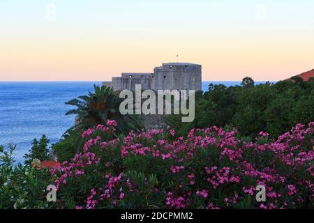 Le XIe siècle fort Lovrijenac alias forteresse Saint-Laurent à Dubrovnik, Croatie à l'aube Banque D'Images