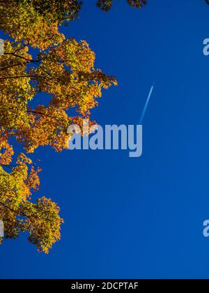 L'automne en Ontario est la période la plus belle de l'année. Avion de chasse surmontant le feuillage d'automne, ON, Canada Banque D'Images