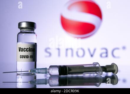 Ukraine. 21 novembre 2020. Dans cette photo, une seringue médicale et un flacon avec le vaccin coronavirus COVID-19 vus en face du logo de la société biopharmaceutique chinoise Sinovac. Crédit : SOPA Images Limited/Alamy Live News Banque D'Images