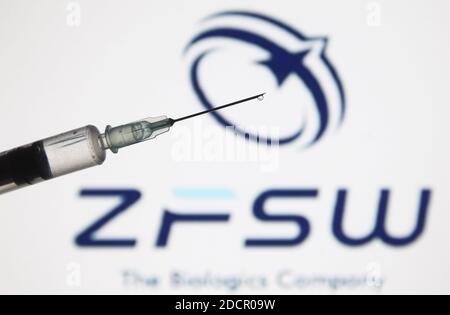 Ukraine. 22 novembre 2020. Sur cette photo, une seringue médicale est visible devant le logo chinois Chongqing Zhifei Biological Products. Crédit : SOPA Images Limited/Alamy Live News Banque D'Images