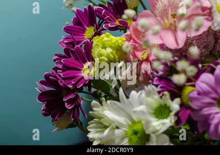 Floristics, bouquet de mariage. Fleurs en gros plan colorées sur fond turquoise. Banque D'Images