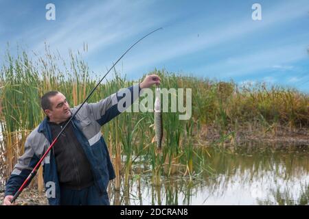 Homme pêcheur attrapé le brochet sur le poisson en rotation. Pêche sportive, concentration sélective. Banque D'Images