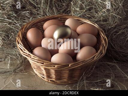 Les oeufs de poule en panier, image symbolique de l'or avec oeuf Hen Banque D'Images