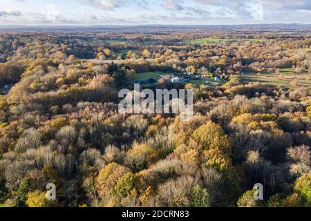 Photos aériennes de drone Forêt du Hampshire, montrant les niveaux de reboisement Banque D'Images