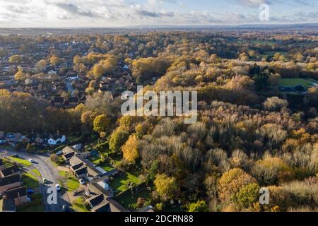 Photos aériennes de drone Forêt du Hampshire, montrant les niveaux de reboisement Banque D'Images