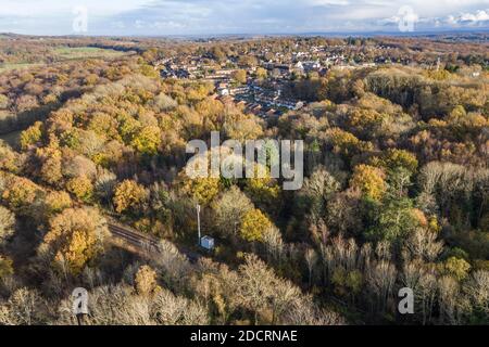 Photos aériennes de drone Forêt du Hampshire, montrant les niveaux de reboisement Banque D'Images