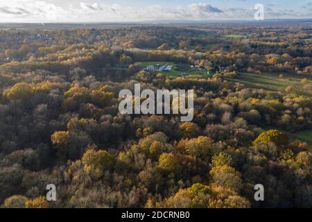 Photos aériennes de drone Forêt du Hampshire, montrant les niveaux de reboisement Banque D'Images