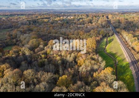 Photos aériennes de drone Forêt du Hampshire, montrant les niveaux de reboisement Banque D'Images