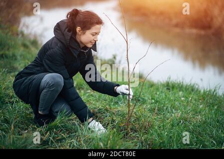 jeunes femmes plantant des semis dans le parc pour préserver l'environnement Banque D'Images