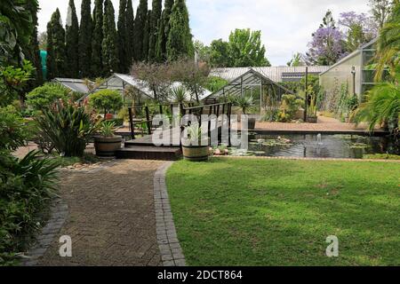 Jardin botanique de l'Université Stellenbosch , Cap Winelands, province de l'Ouest, Afrique du Sud. Banque D'Images