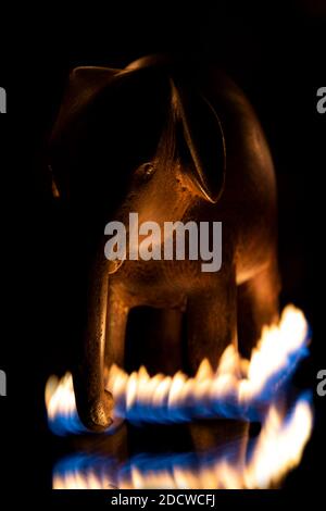 C'est une image que j'ai prise en utilisant seulement un briquet pour éclairer le sujet Banque D'Images