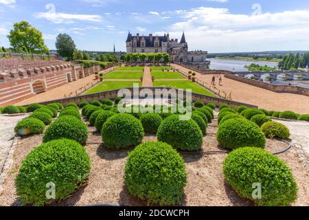 Beau jardin et château Château d'Amboise par jour ensoleillé, Vallée de la Loire, France. Banque D'Images