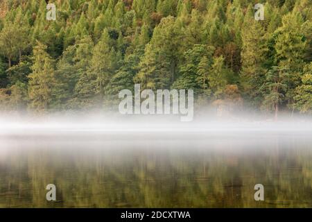 Forêt arbre se reflétant dans un lac calme avec une couche de brume le matin d'automne à Buttermere dans le district du lac. Banque D'Images