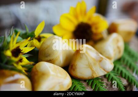 Grande jaspe jaune ! Tourbillons jaunes crémeux. Magnifique Jasper jaune complexe, parfait pour le détox et la force. Cristal de guérison des sorcières. Vintage Banque D'Images