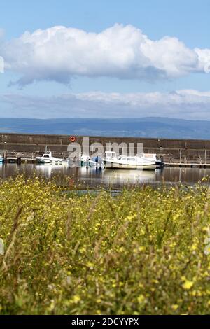 Maidens Harbour, South Ayrshire, Écosse, Royaume-Uni . Maidens est un village de la paroisse de Kirkoswald dans le Ayrshire, en Écosse. Situé sur la côte du Firth de Clyde, à l'extrémité sud de la baie de Maidenhead, une série de roches connues sous le nom de 'Maidens of Turnberry' forment un port naturel Banque D'Images